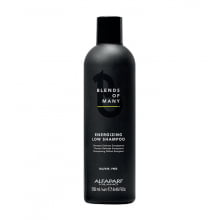 Blends Of Many Energizing Low Shampoo 250ml - Alfaparf